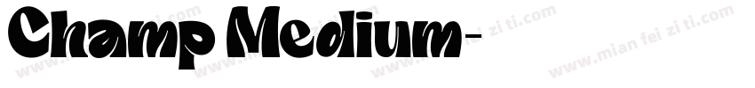 Champ Medium字体转换